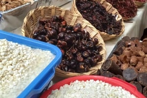 Coyoacan, the history and life of a magical neighborhood