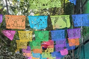 Coyoacan, the history and life of a magical neighborhood