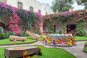 Coyoacan, the history and life of a magical neighborhood