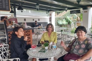 Coyoacán: Tour del Cine, Las Artes y la Cultura Coyoacanense