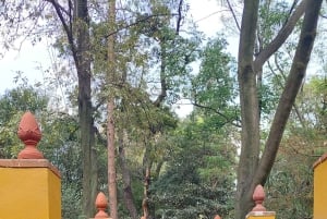 Coyoacán: Tour del Cine, Las Artes y la Cultura Coyoacanense