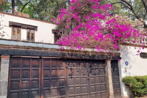 Coyoacán: Tour del Cine, Las Artes y la Cultura Coyoacanense