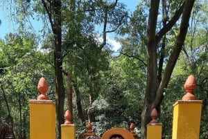 Coyoacán: Tour del Cine, Las Artes y la Cultura Coyoacanense