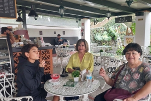 Coyoacán: Tour del Cine, Las Artes y la Cultura Coyoacanense