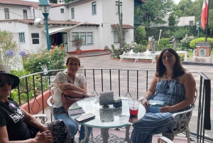 Coyoacán: Tour del Cine, Las Artes y la Cultura Coyoacanense