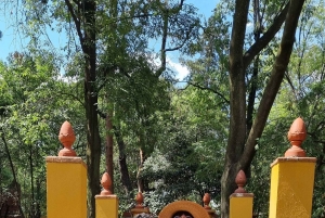 Coyoacán: Tour del Cine, Las Artes y la Cultura Coyoacanense