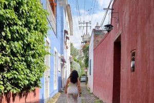 Coyoacán: Tour del Cine, Las Artes y la Cultura Coyoacanense