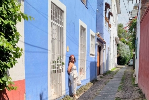 Coyoacán: Tour del Cine, Las Artes y la Cultura Coyoacanense