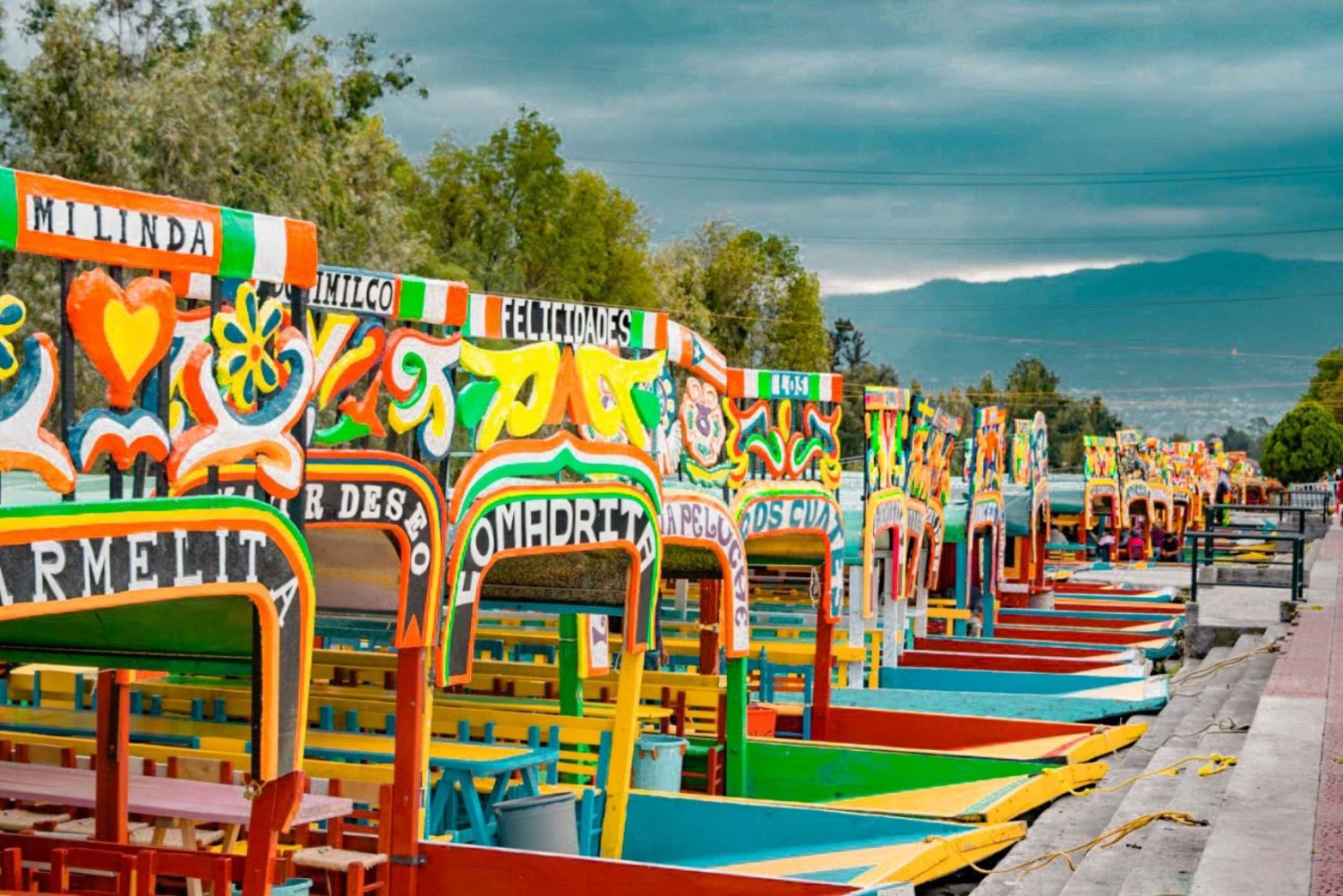 Coyoacán & Xochimilco: Discover an oasis in Mexico City