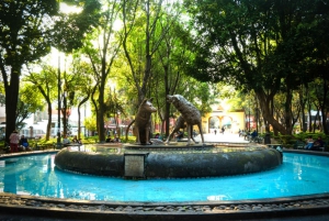 Coyoacán & Xochimilco: Discover an oasis in Mexico City