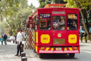 Coyoacán & Xochimilco: Discover an oasis in Mexico City