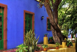 Coyoacán y Xochimilco: Descubre un oasis en Ciudad de México