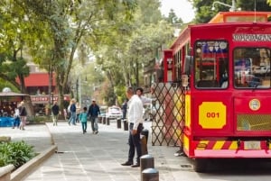 Coyoacán y Xochimilco: Descubre un oasis en Ciudad de México
