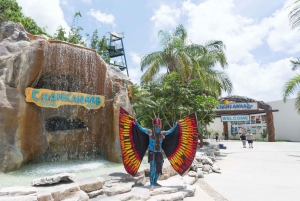 Cozumel: All Inclusive Beach Adventure with Snorkeling