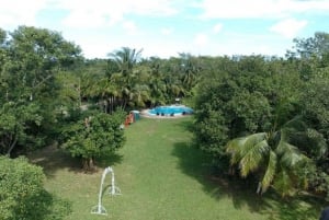 Cozumel: ATV Jungle Adventure