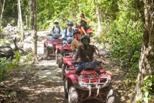 Cozumel: ATVs Jungle Experience + Beach Club All Inclusive