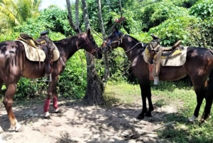 Cozumel: Excursión a caballo por la playa