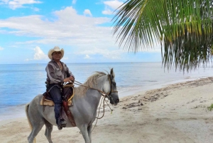 Cozumel: Excursión a caballo por la playa