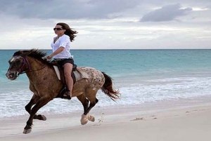 Cozumel: Beach Horse Riding Tour