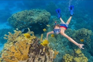 Cozumel: Catamaran al cielo, palancar, y club de playa (comida/barra libre)