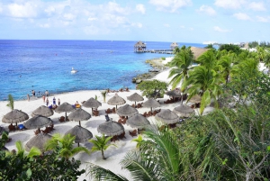 Cozumel: Chankanaab Park General Admission Entry Ticket