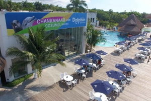 Cozumel: Chankanaab Park General Admission Entry Ticket