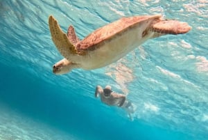 Cozumel: Cielo y Palancar Snorkel con Snack y Bebidas