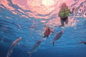 Cozumel: Cielo y Palancar Snorkel con Snack y Bebidas