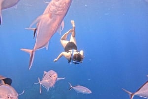 Cozumel: Cielo y Palancar Snorkel con Snack y Bebidas