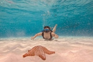 Cozumel: Cielo y Palancar Snorkel con Snack y Bebidas