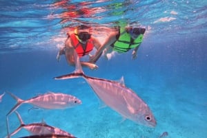 Cozumel: Cielo y Palancar Snorkel con Snack y Bebidas