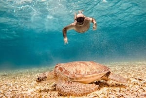 Cozumel: Cielo y Palancar Snorkel con Snack y Bebidas