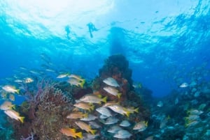 Cozumel Cielo Tour Privado en Lancha