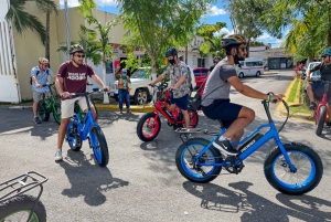 Cozumel City Tour with Lunch