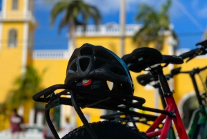 Cozumel City Tour with Lunch