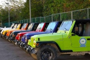 Cozumel: Classic Jeep or Buggy Island Tour to Punta Sur