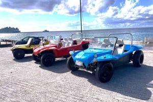 Cozumel: Classic Jeep or Buggy Island Tour to Punta Sur