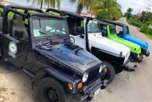 Cozumel: Classic Jeep or Buggy Island Tour to Punta Sur