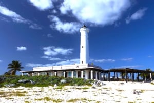 Cozumel: Classic Jeep or Buggy Island Tour to Punta Sur