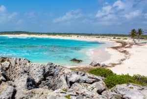 Cozumel: Classic Jeep or Buggy Island Tour to Punta Sur