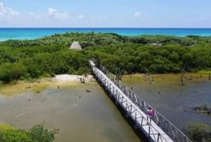 Cozumel: Classic Jeep or Buggy Island Tour to Punta Sur