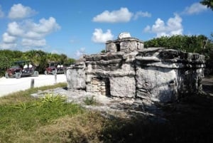 Cozumel: Classic Jeep or Buggy Island Tour to Punta Sur