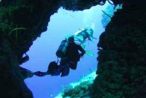 Cozumel: Descubre el buceo