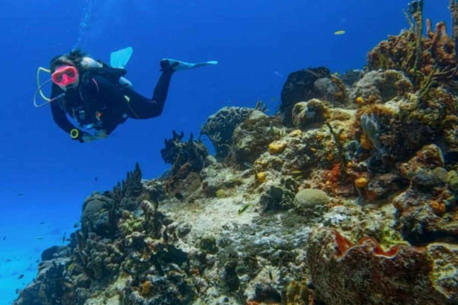 Cozumel Descubre el Buceo