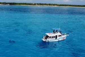 Cozumel Discover Scuba Diving