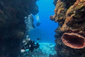 Cozumel Discover Scuba Diving