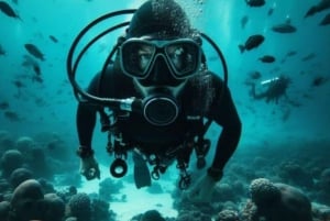 Cozumel: Experiencia de buceo desde barco