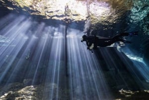 Cozumel: Experiencia de buceo desde barco