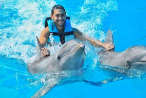 Cozumel: Dolphin Royal Swim