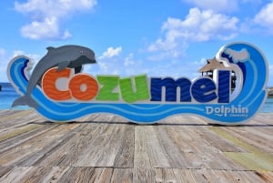 Cozumel: nado real con delfines